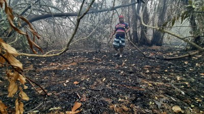 অবশেষে নিভলো সুন্দরবনের আগুন, পুড়ে গেছে তিন একর বনভূমি